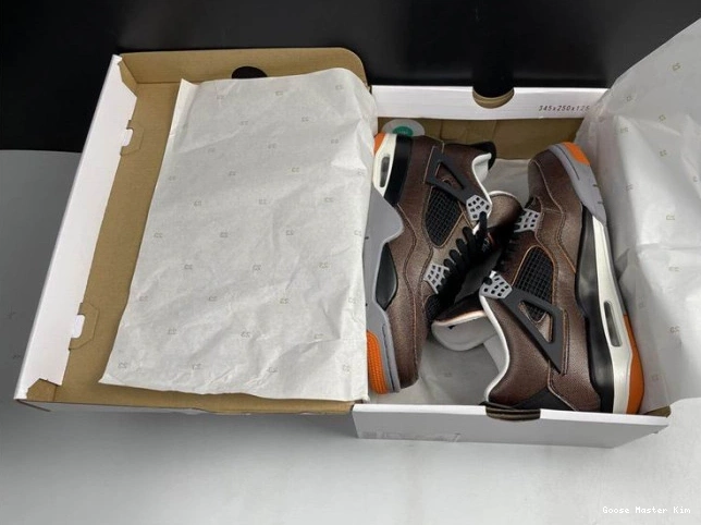 CW7183-100 Retro Jordan 4 Air Starfish (W) 0524